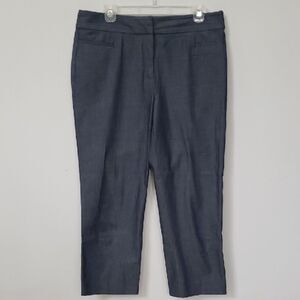 Ann Taylor Factory Pants Womens 10 Chambray Stretch Cropped Chino Classic Office